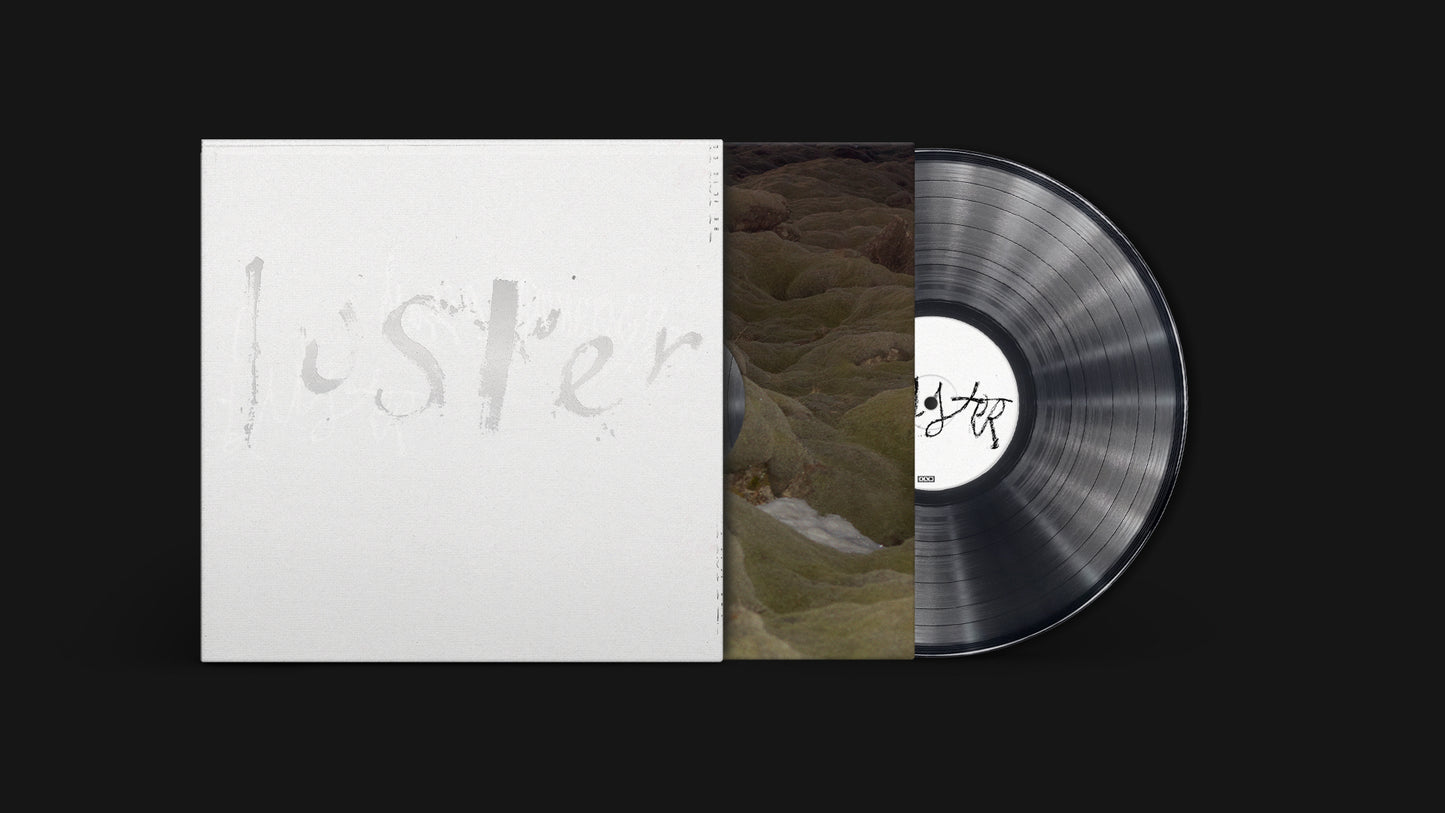 
                  
                    Maria Somerville - Luster | Vinyl LP 
                  
                