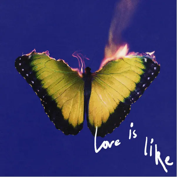 Maroon 5 - Love Is Like | Vinyl