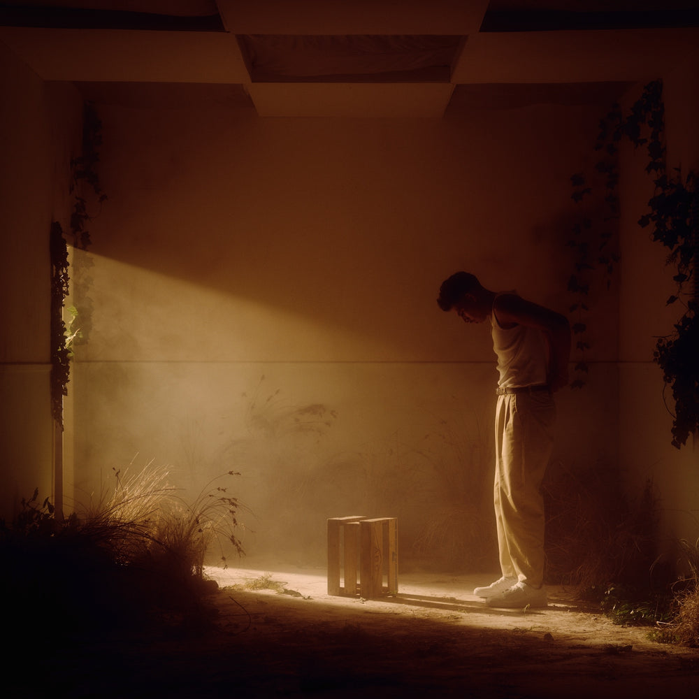 Mohi - The Flowers That Grow From Concrete Pavements