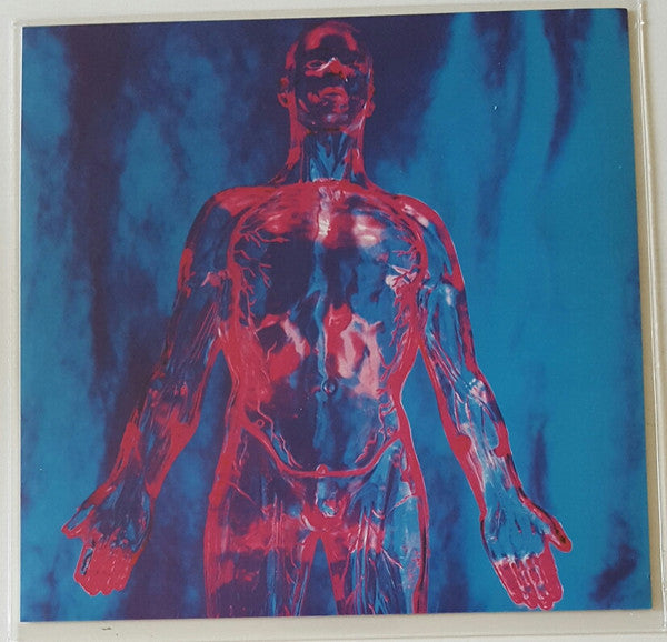 Nirvana - Sliver (7" SECONDHAND)