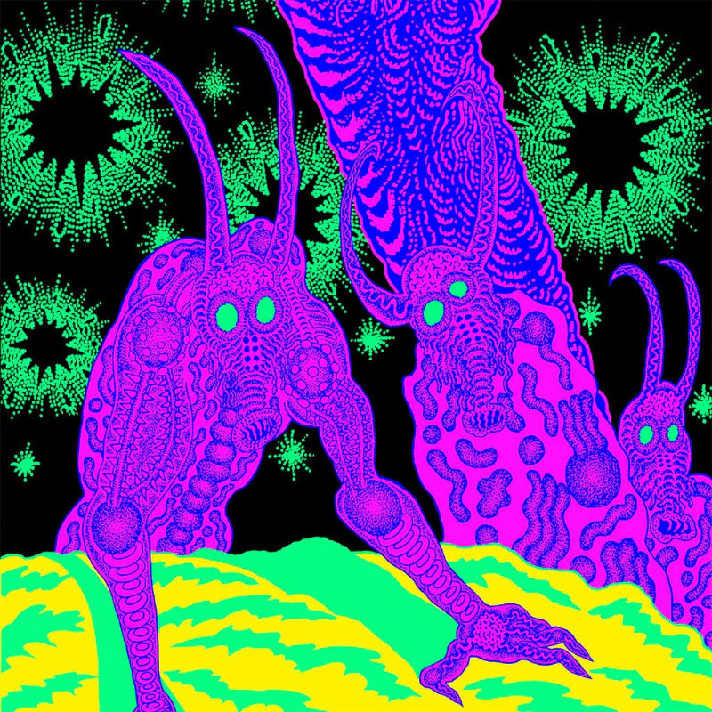 OSEES - Abomination Revealed At Last | Vinyl