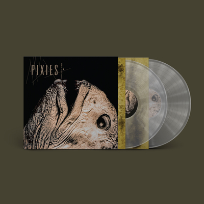 
                  
                    Pixies - Complete B Sides: 1988-97 (Clear Vinyl)
                  
                