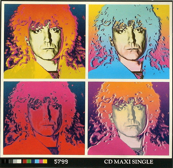 Robert Plant - Hurting Kind (7