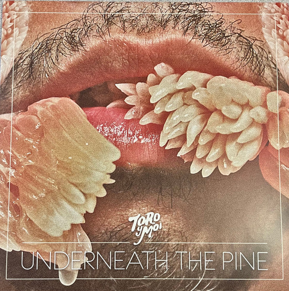 Toro Y Moi – Underneath The Pine (SECONDHAND)
