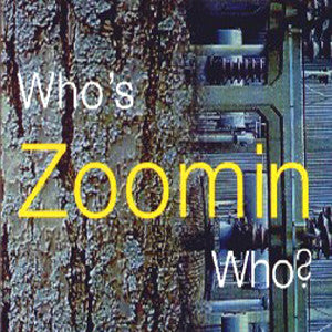 Various – Who's Zoomin Who? (Secondhand Vinyl)