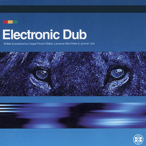 Electronic Dub – Electronic Dub (SECONDHAND)