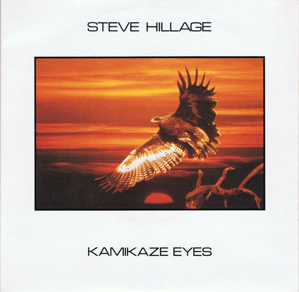 Steve Hillage - Kamikaze Eyes (7