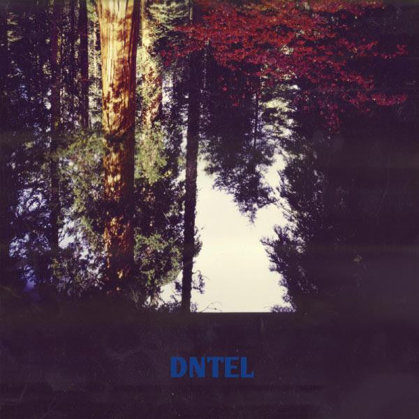 DNTEL - Aimlessness (SECONDHAND)