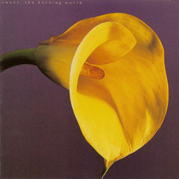 Swans - The Burning World (SECONDHAND)