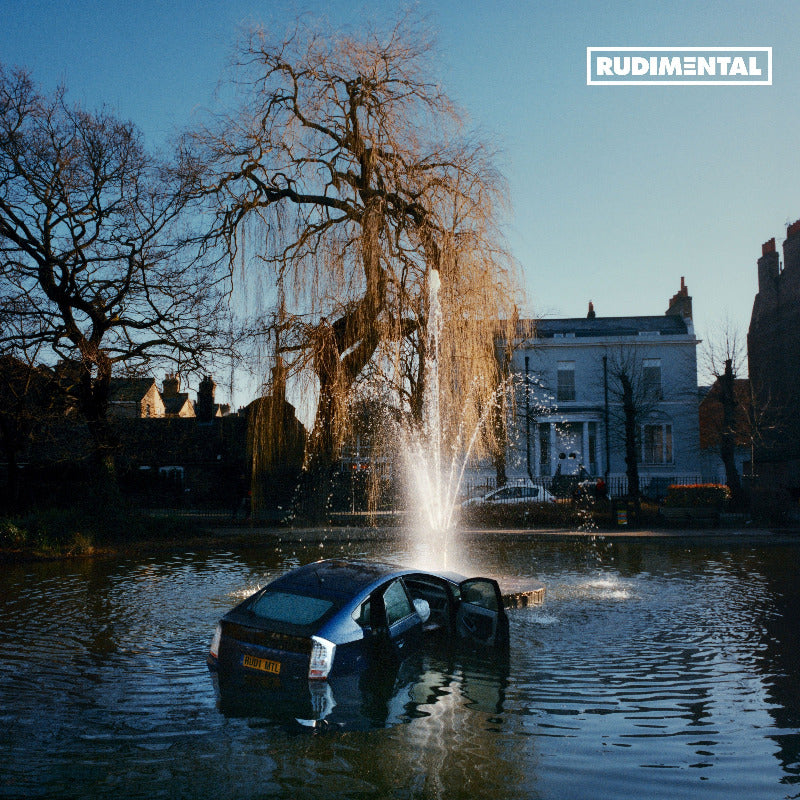 Rudimental - RUDIM3NTAL | Vinyl