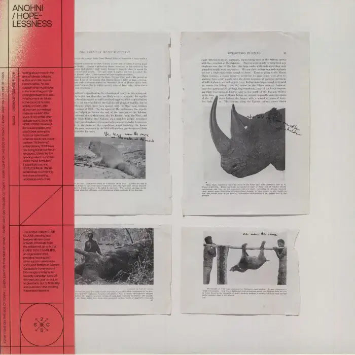 Anohni - Hopelessness - Flying Nun  | Vinyl | CD