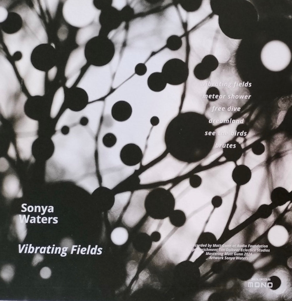 Sonya Waters - Vibrating Fields | Vinyl LP 
