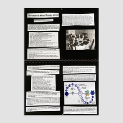 
                  
                    Liz Matthews - Stay Trashy 2025: A Witches Calendar for Aotearoa
                  
                