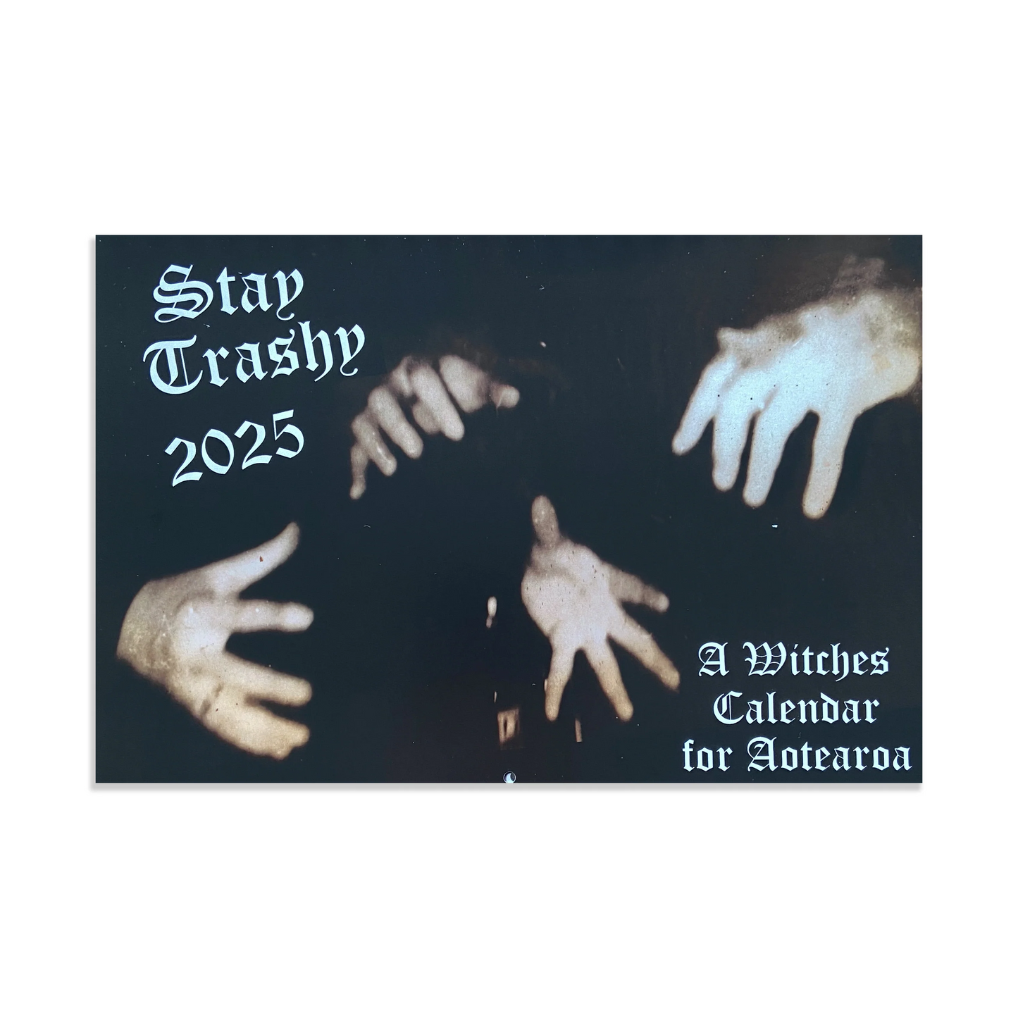 
                  
                    Liz Matthews - Stay Trashy 2025: A Witches Calendar for Aotearoa
                  
                