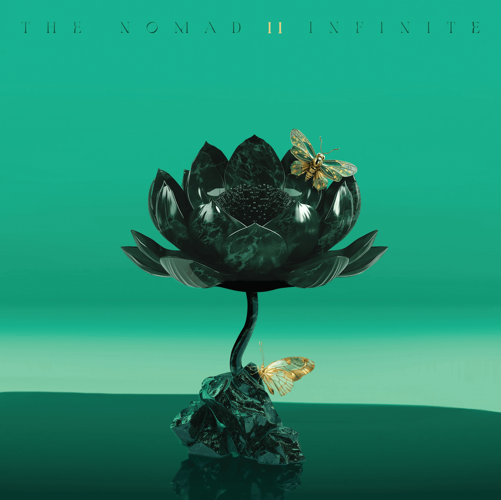 The Nomad - Infinite II - Flying Nun  | Vinyl | CD