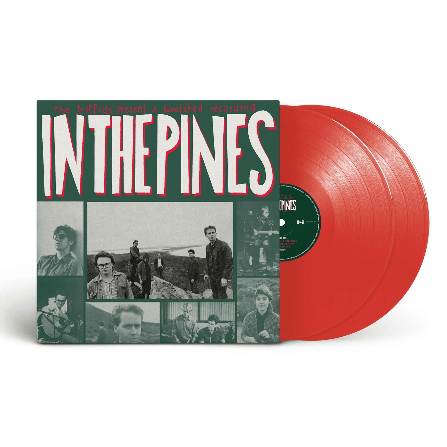 The Triffids - In The Pines | Buy the Vinyl