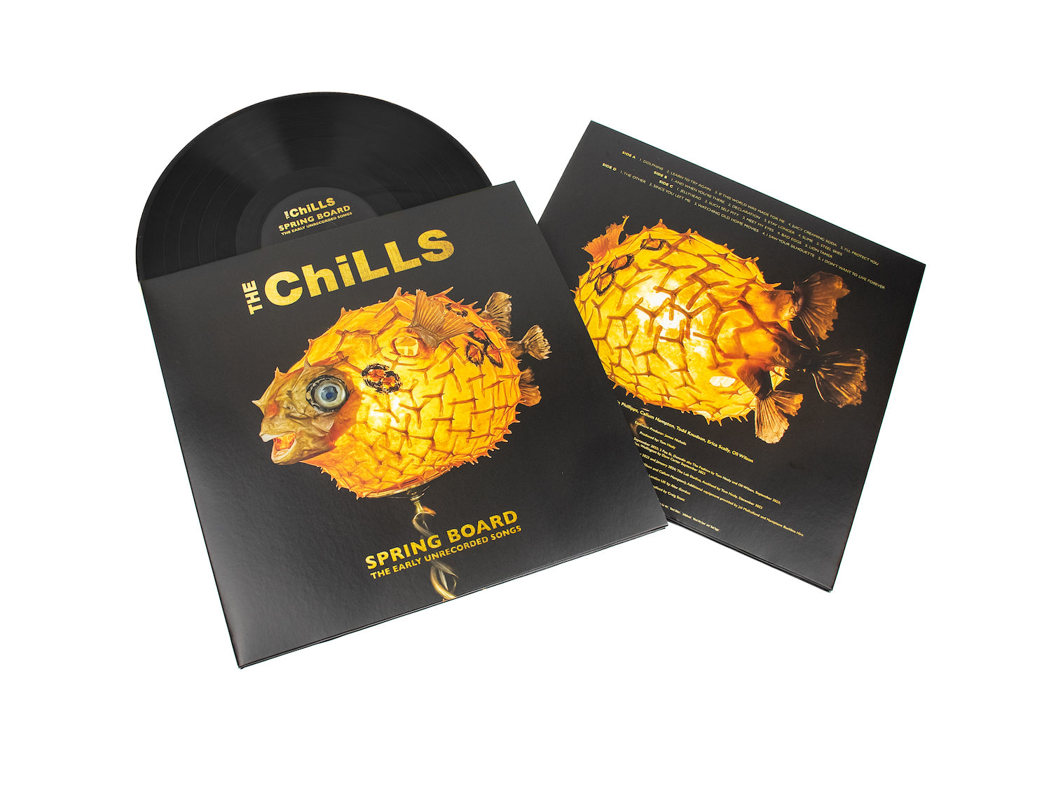 The Chills - Spring Board: The Early Unrecorded Songs | Vinyl | CD