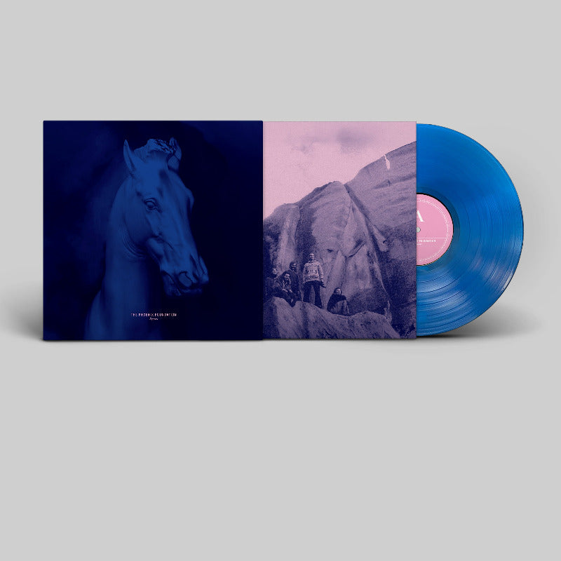 The Phoenix Foundation - Pegasus | Vinyl