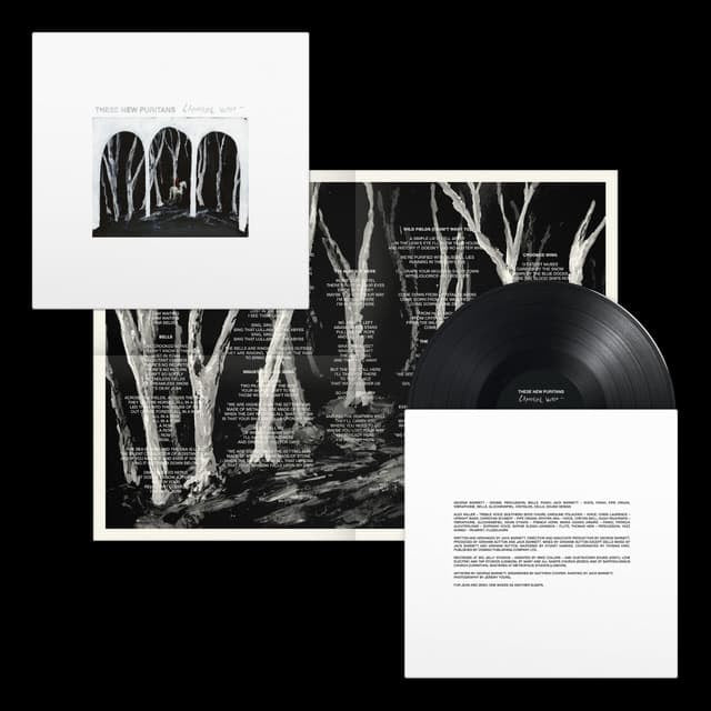 These New Puritans - Crooked Wing | Vinyl