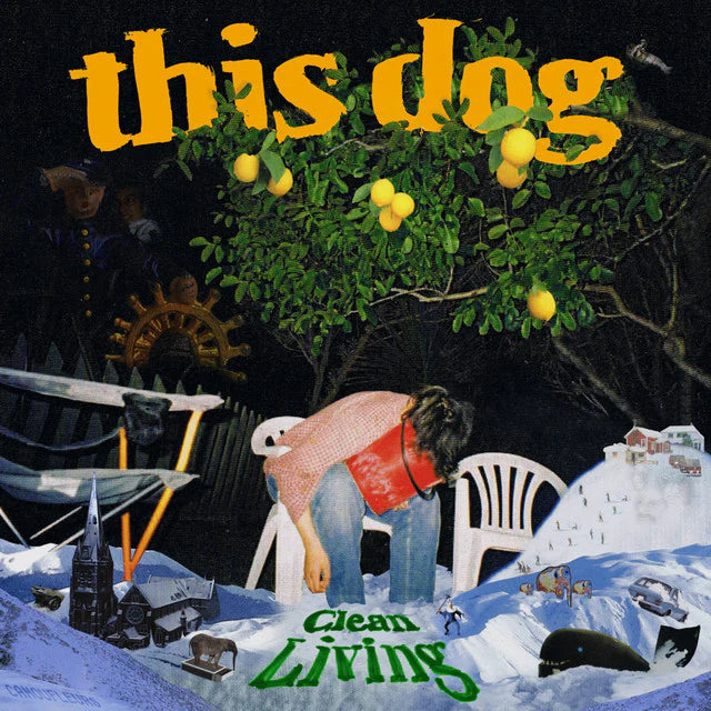 This Dog - Clean Living