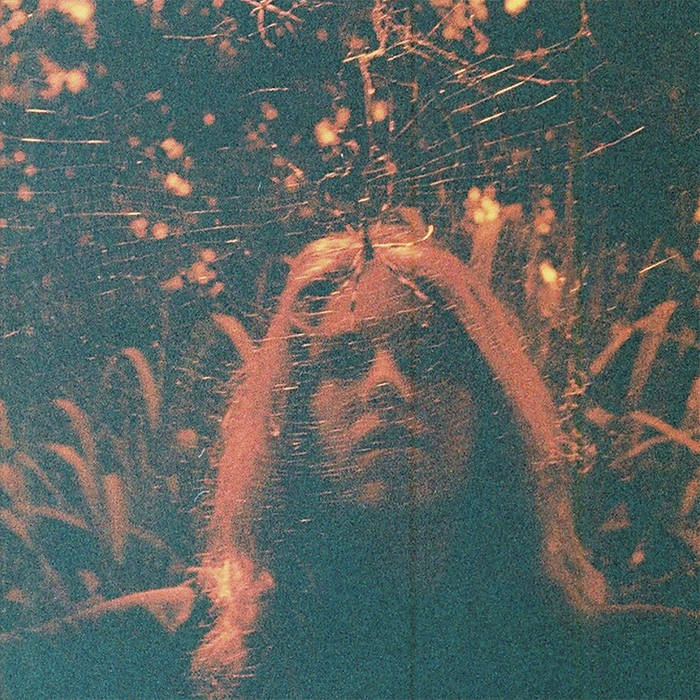 Turnover - Peripheral Vision | Vinyl