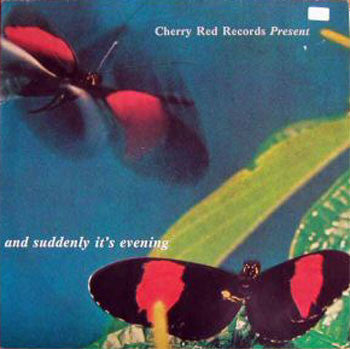 Various -  And Suddenly It's Evening (SECONDHAND)