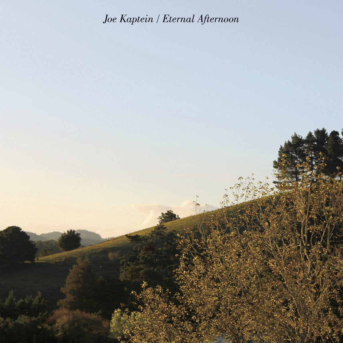 
                  
                    Joe Kaptein - Eternal Afternoon
                  
                