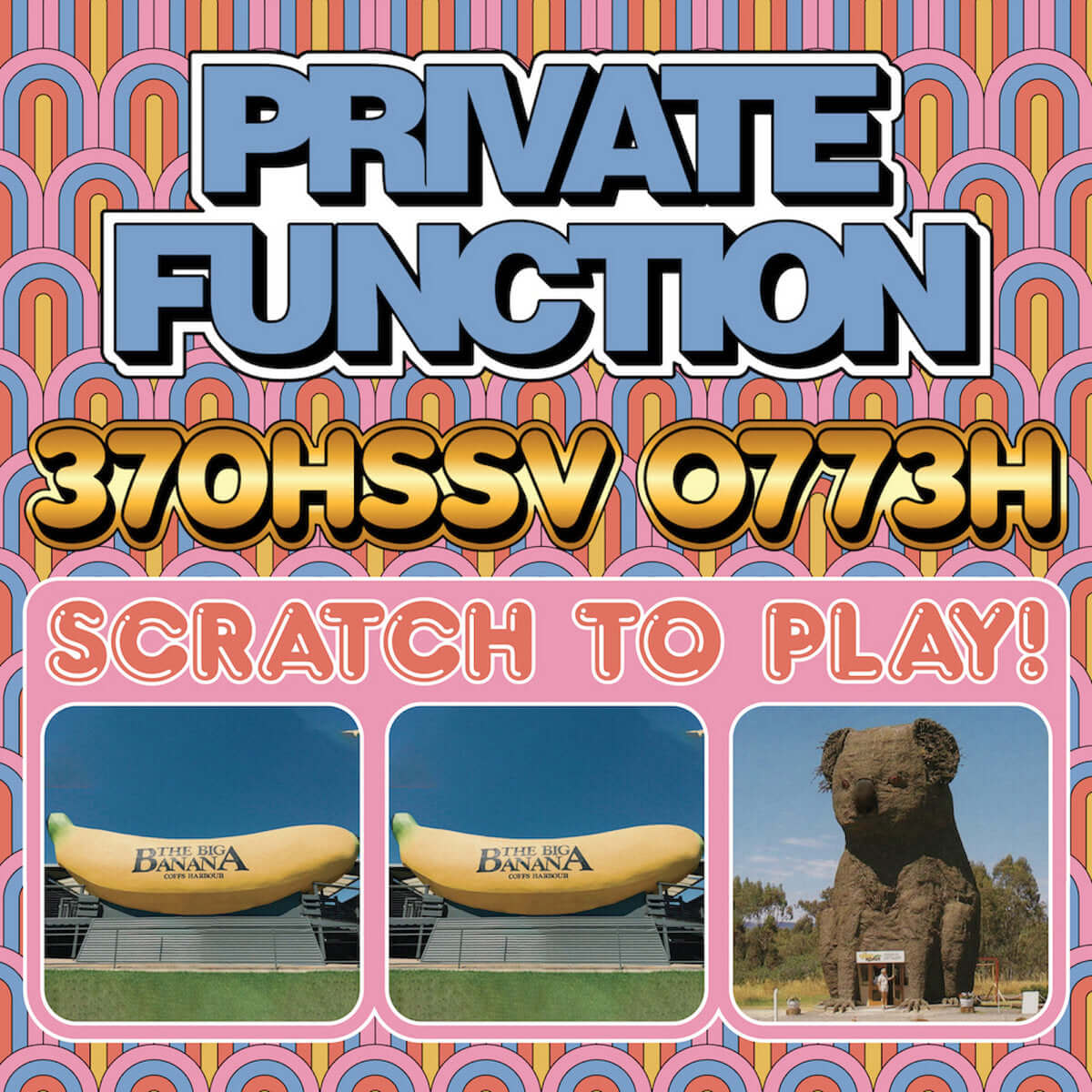 Private Function - 370HSSV 0773H - Flying Nun  | Vinyl | CD