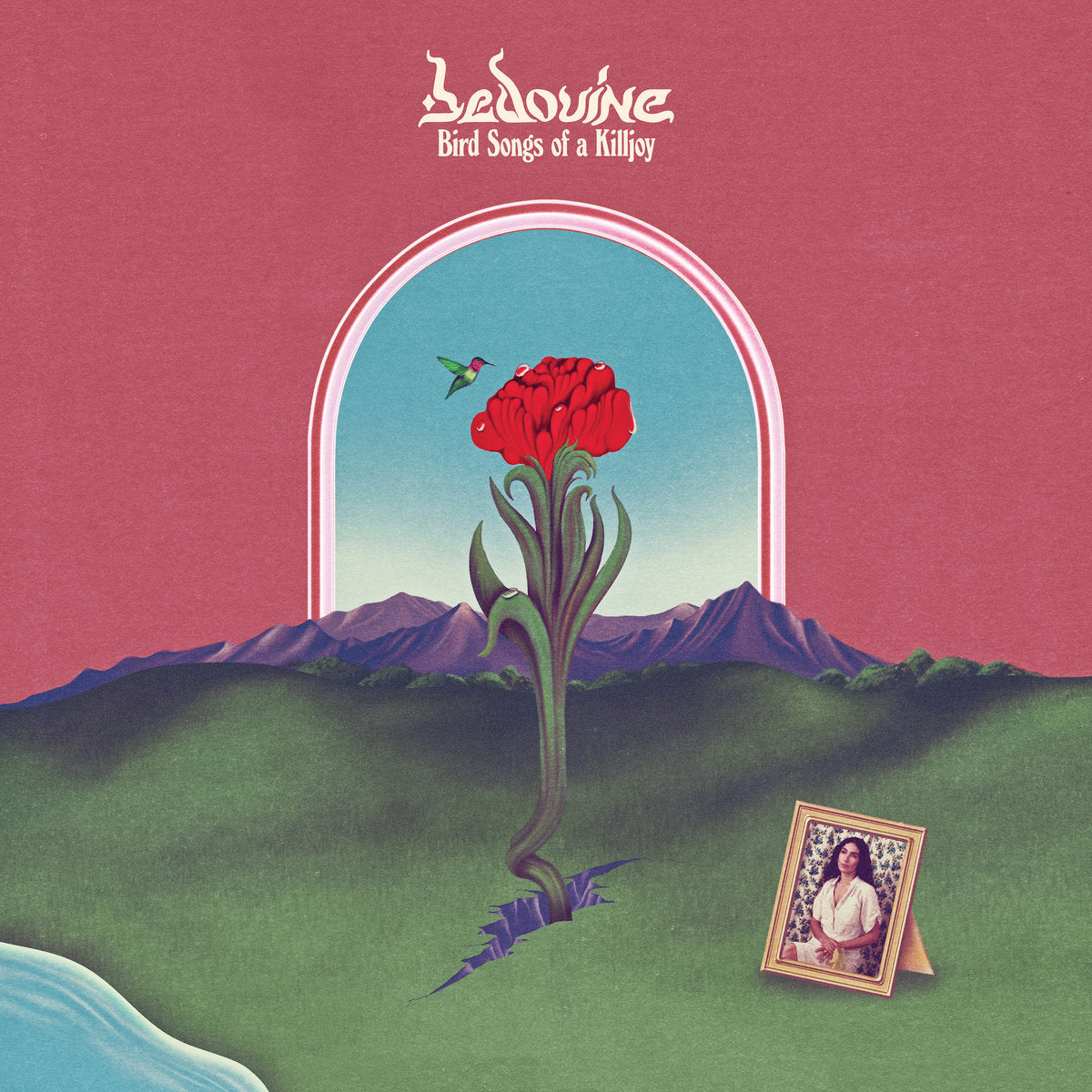
                  
                    Bedouine - Bird Songs of a Killjoy | Vinyl LP
                  
                
