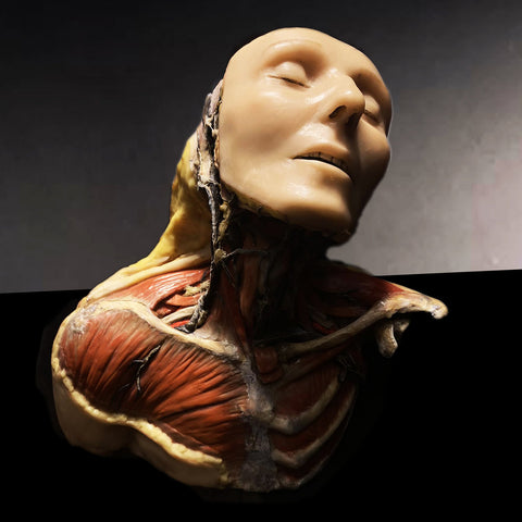 Misha Marks, Gustavo Nandayapa & Jeff Henderson - Campechanos