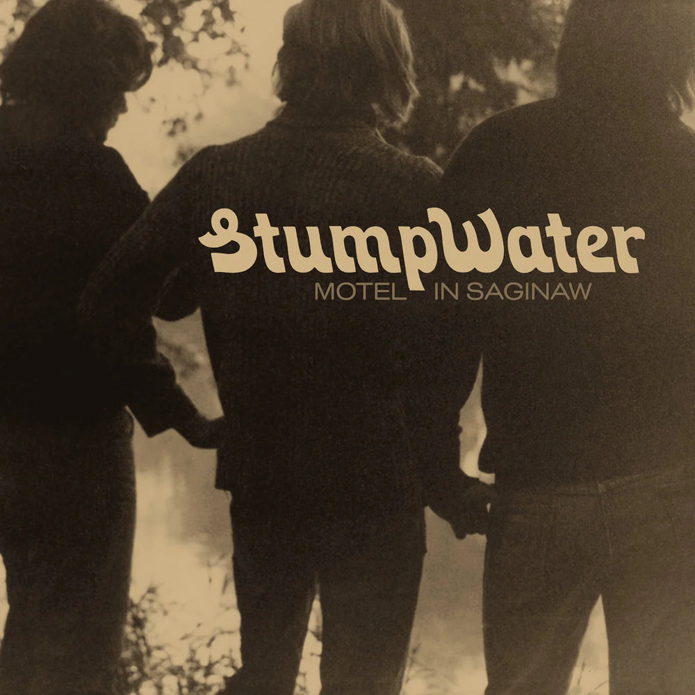 Stumpwater - Hotel in Saginaw (SECONDHAND)
