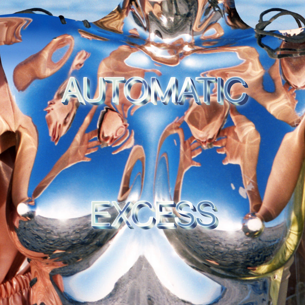Automatic – Excess | Buy the Vinyl LP from Flying Nun Records 