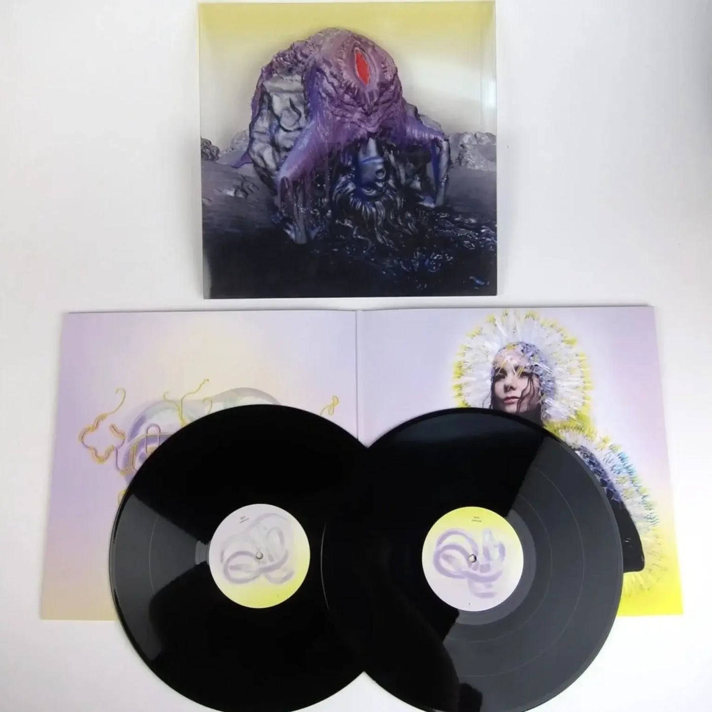 
                  
                     Björk - Vulnicura | Buy on Vinyl LP
                  
                