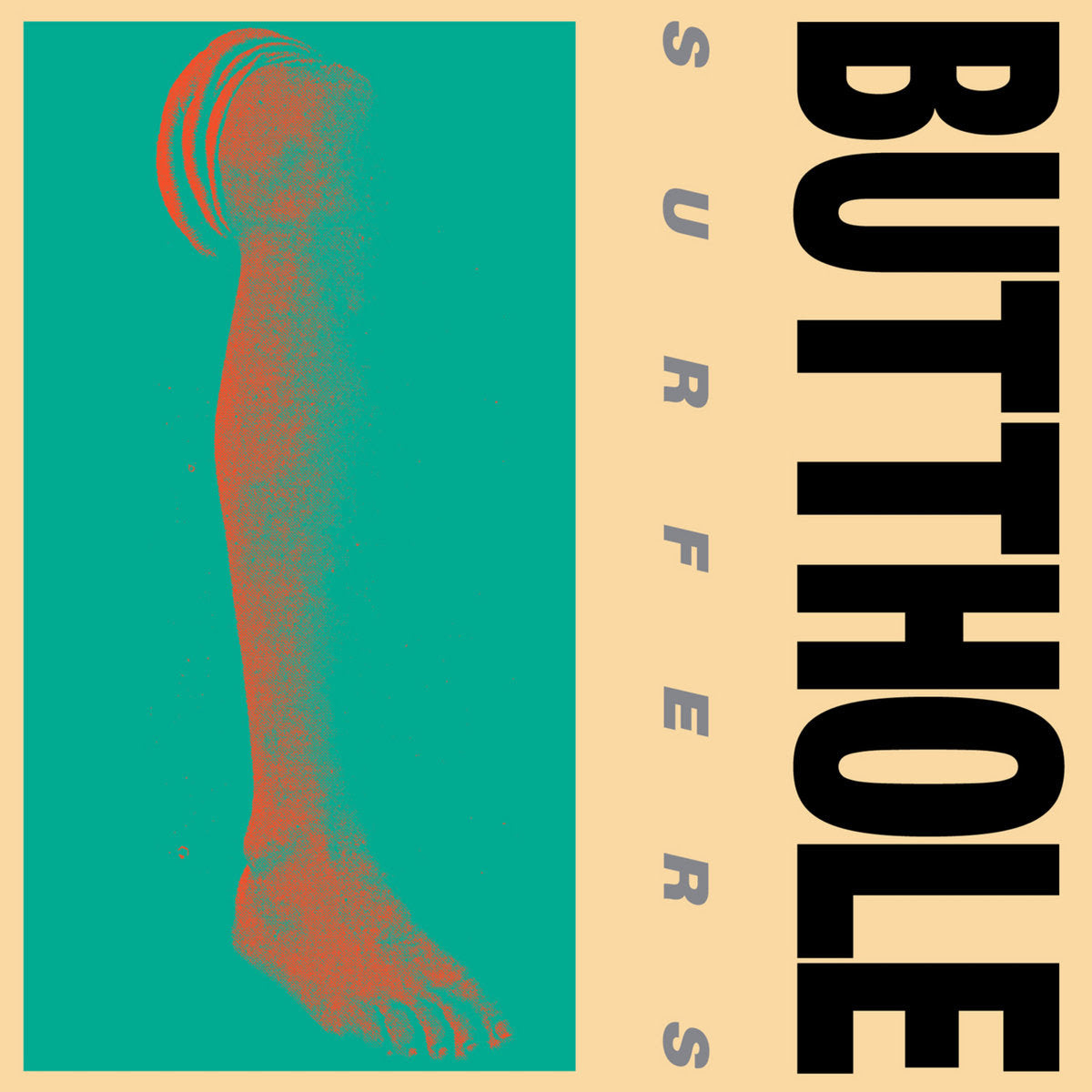 Butthole Surfers - Rembrandt Pussyhorse - Flying Nun  | Vinyl | CD