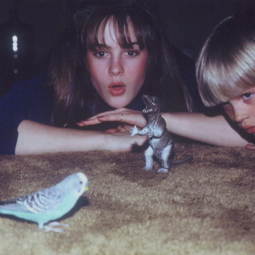 Big Thief - Masterpiece | Buy the Vinyl LP from Flying Nun Records 