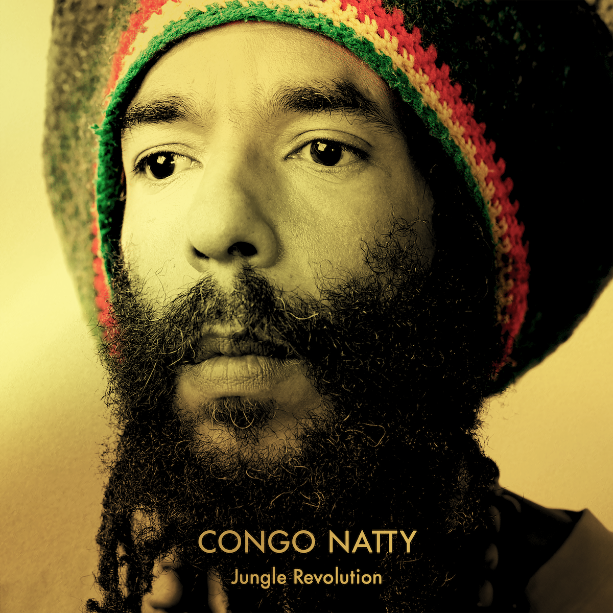 
                  
                    Congo Natty - Jungle Revolution | Buy the Vinyl LP from Flying Nun Records
                  
                