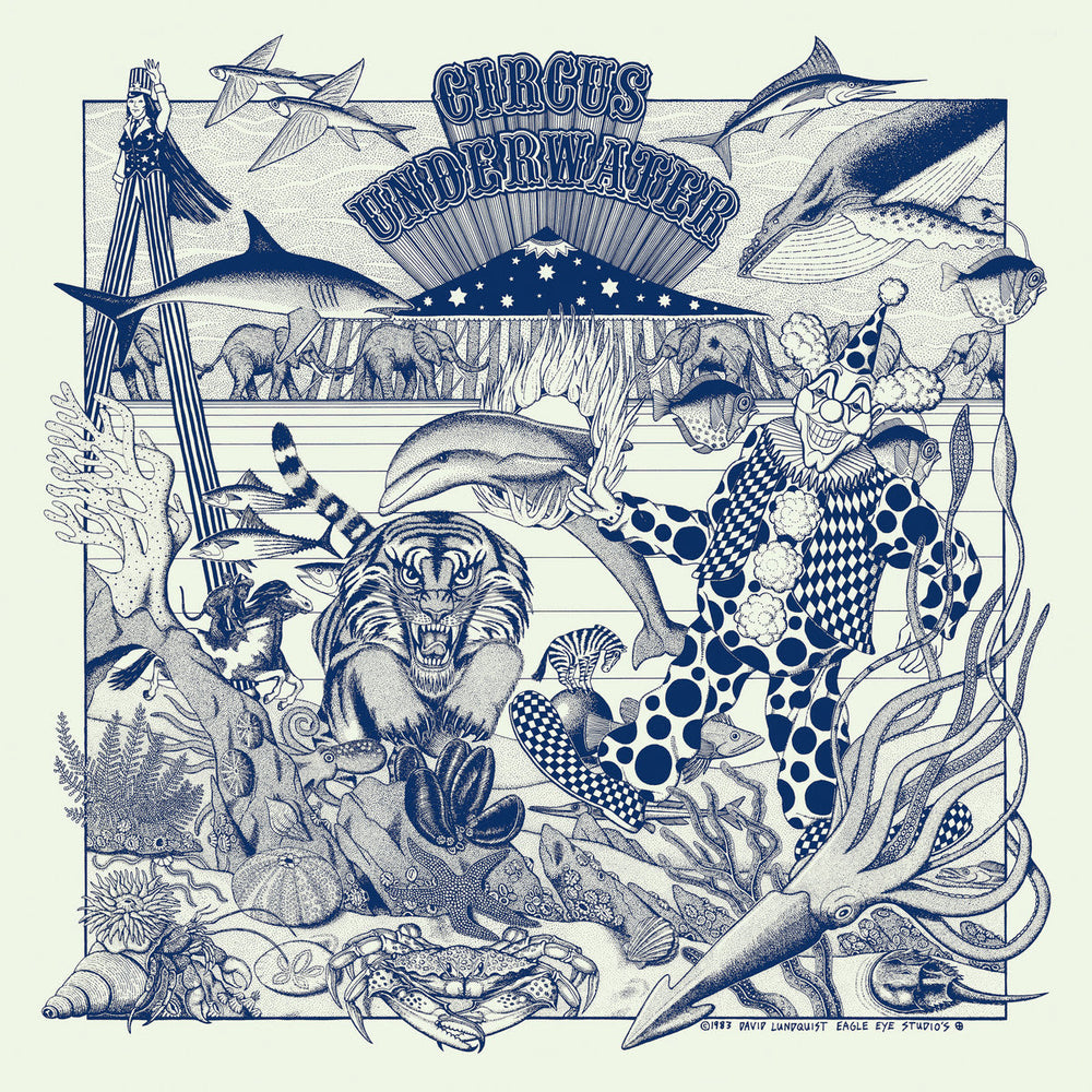 Circus Underwater - Circus Underwater | Buy the Vinyl LP from Flying Nun Records