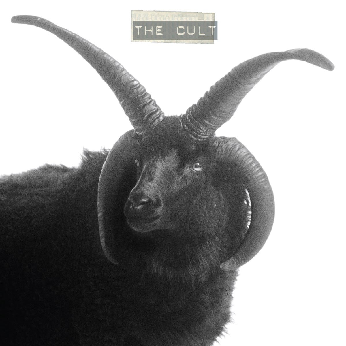 The Cult – The Cult | Buy the Vinyl LP from Flying Nun Records