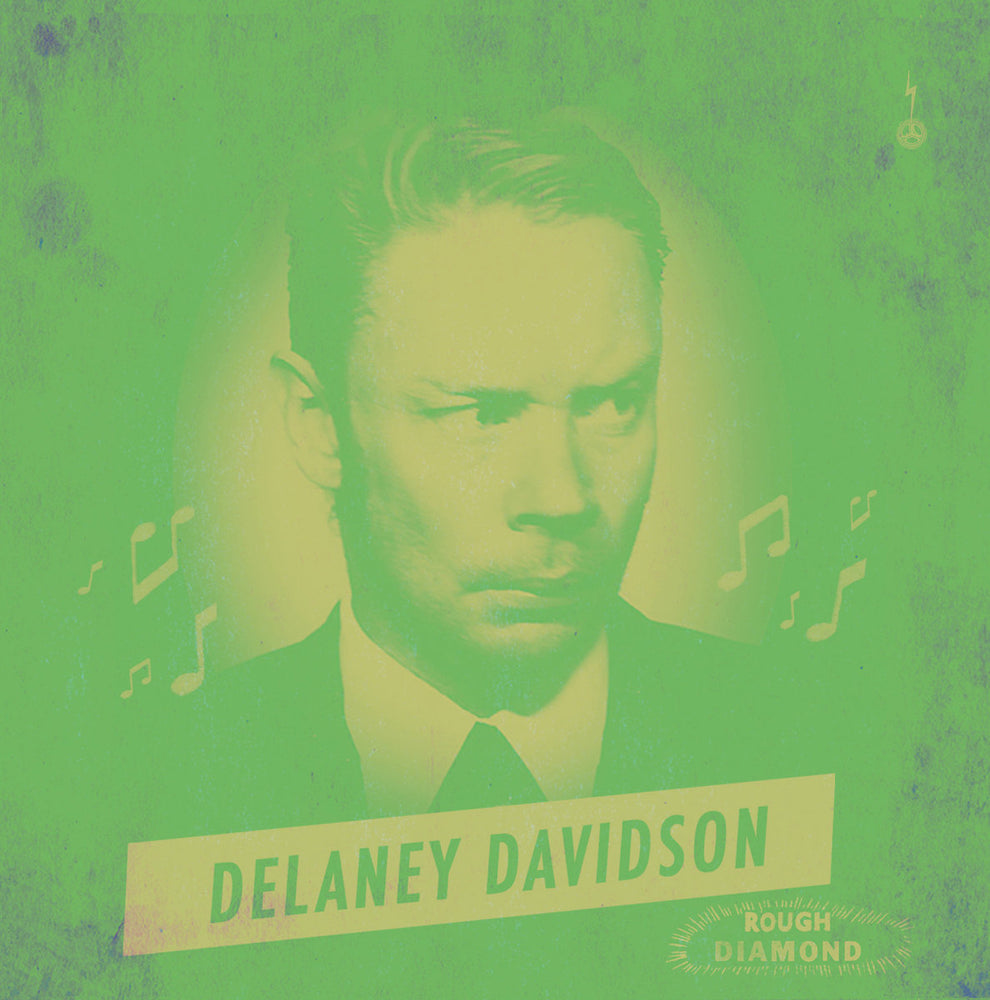 Delaney Davidson – Rough Diamond | Buy the Vinyl LP from Flying Nun Records