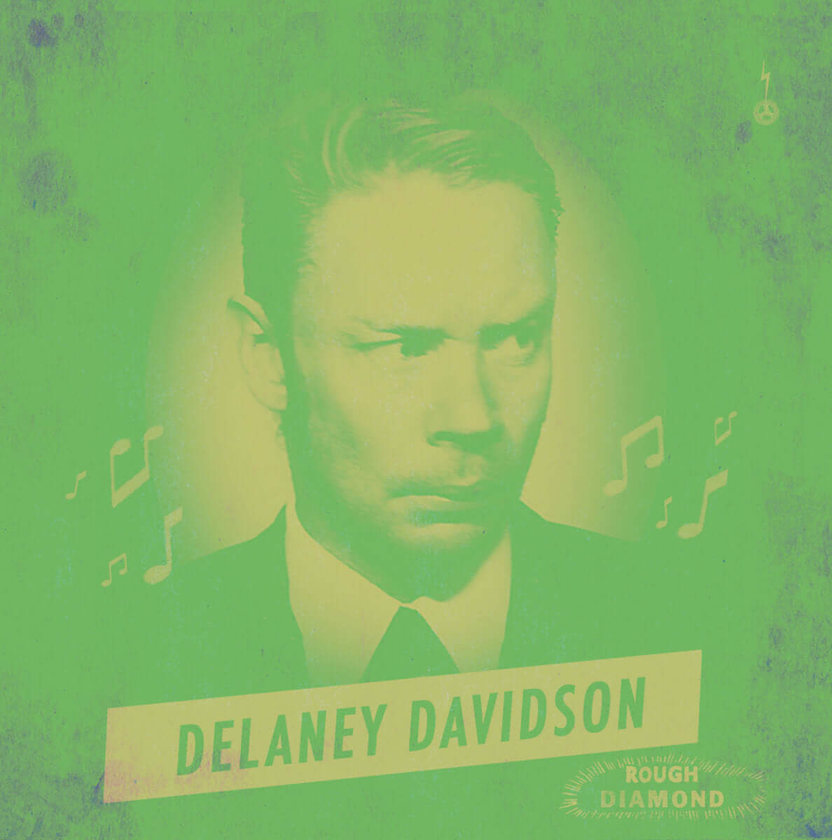 Delaney Davidson – Rough Diamond - Flying Nun  | Vinyl | CD
