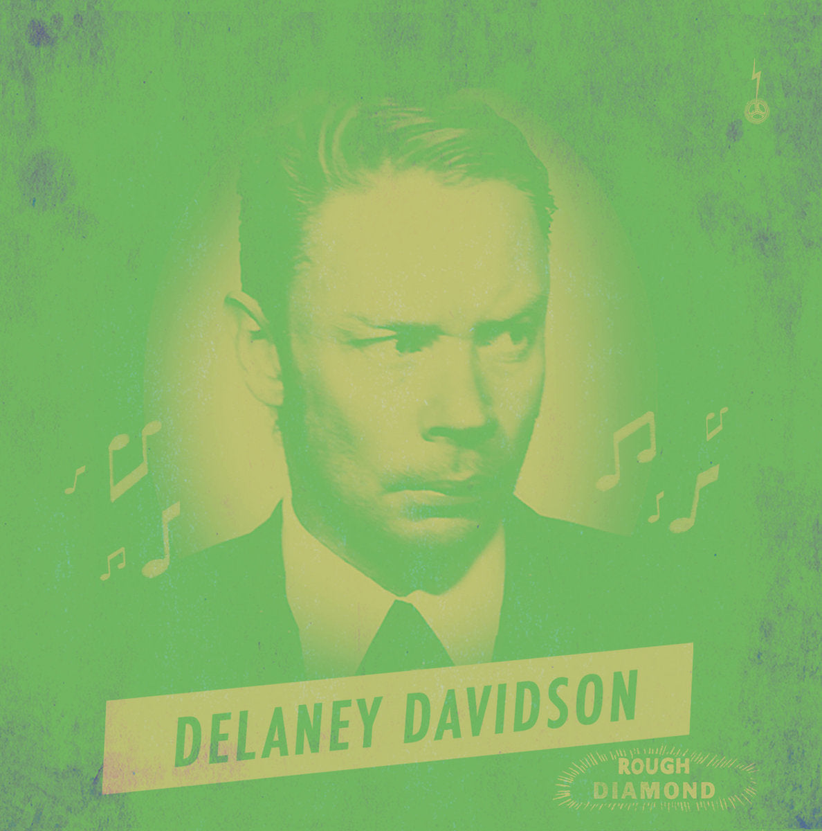 Delaney Davidson – Rough Diamond | Buy the Vinyl LP from Flying Nun Records