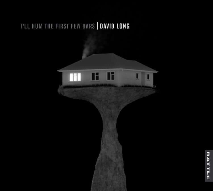 David Long - I’ll Hum the First Few Bars - Flying Nun  | Vinyl | CD