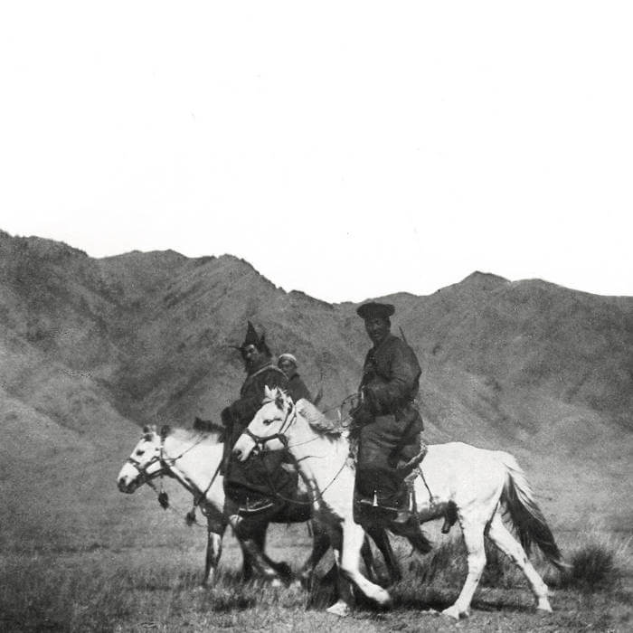 A Handful of Dust - The Drum Is the Shaman’s Horse - Flying Nun  | Vinyl | CD
