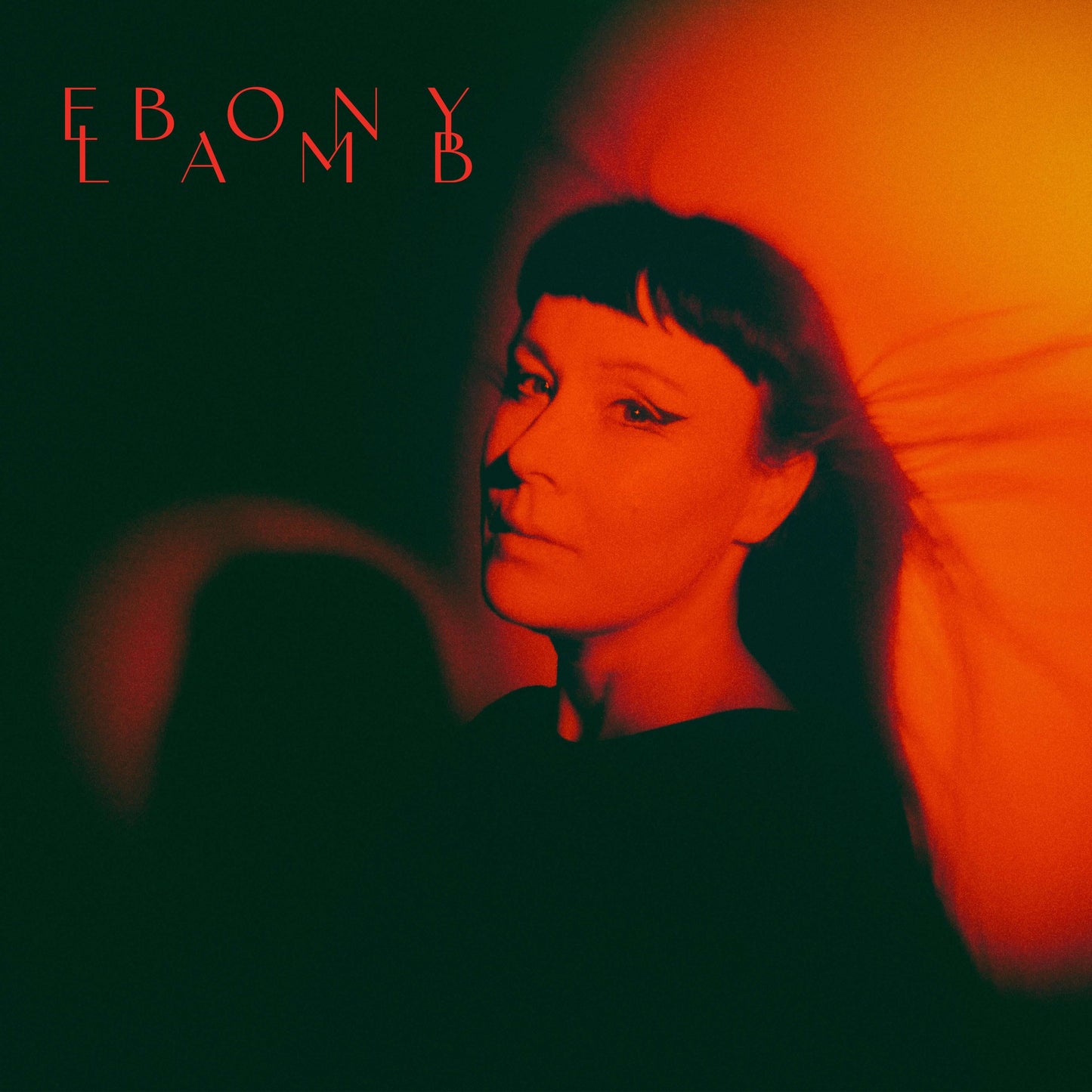 Ebony Lamb - Ebony Lamb - Flying Nun  | Vinyl | CD