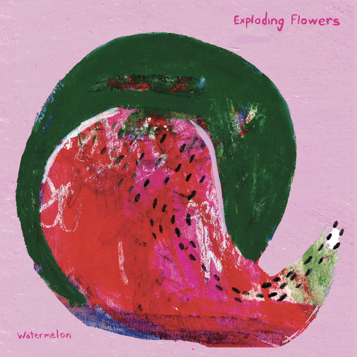 exploding flowers watermelon peacock cover