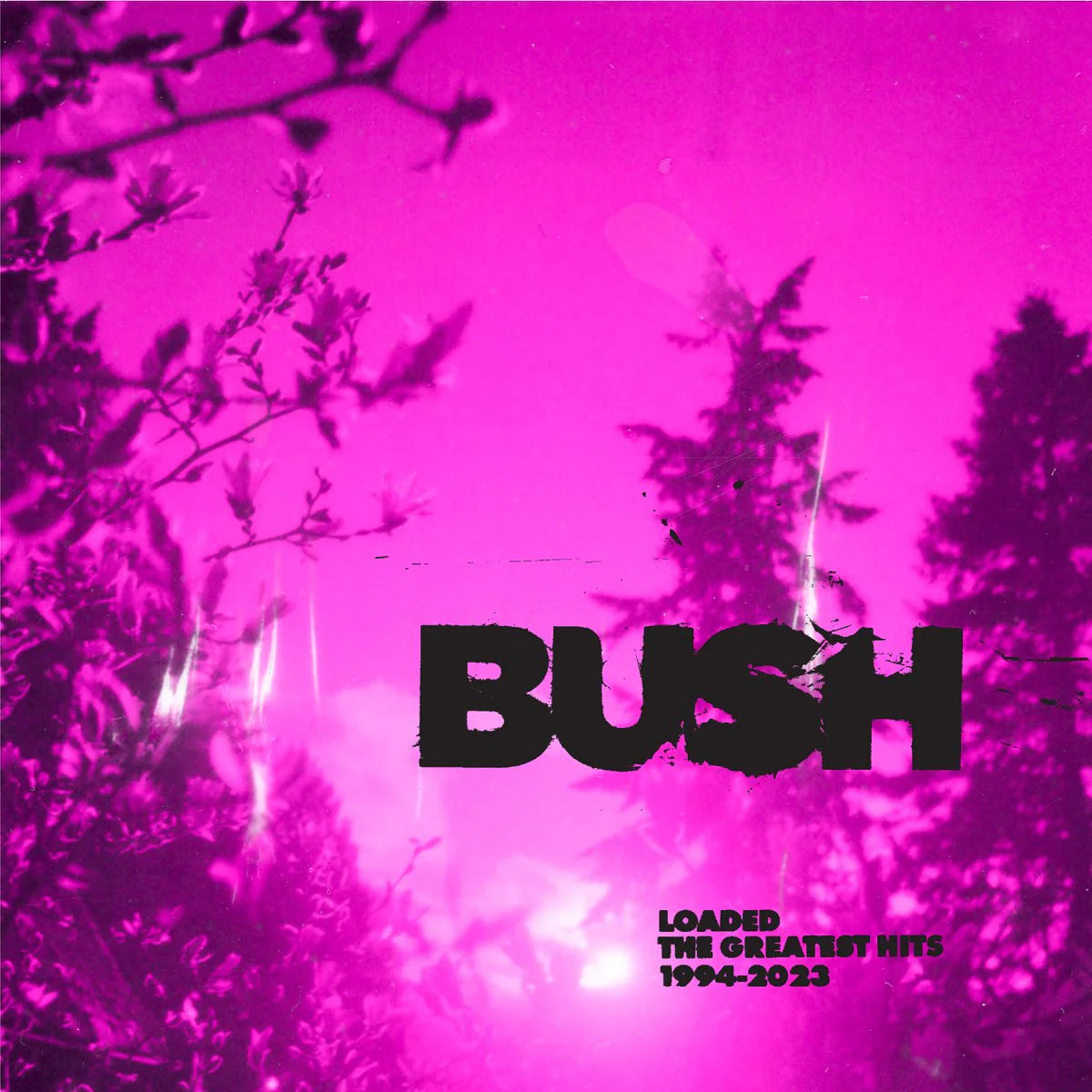 
                  
                    Bush - Loaded: The Greatest Hits 1994-2023 (Natural Cloudy Clear Vinyl 2LP)
                  
                
