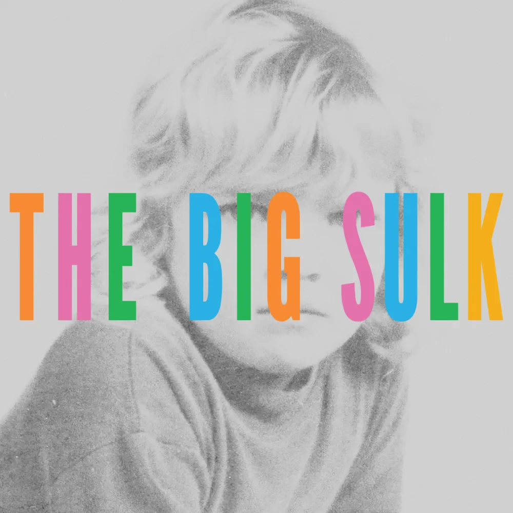 Louisa Nicklin - The Big Sulk