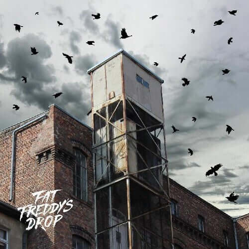 Fat Freddy's Drop - Blackbird Returns - Flying Nun  | Vinyl | CD
