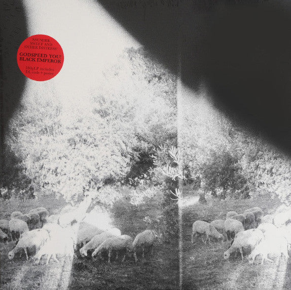 Godspeed You Black Emperor! - Asunder, Sweet And Other Distress | Buy the Vinyl LP from Flying Nun Records