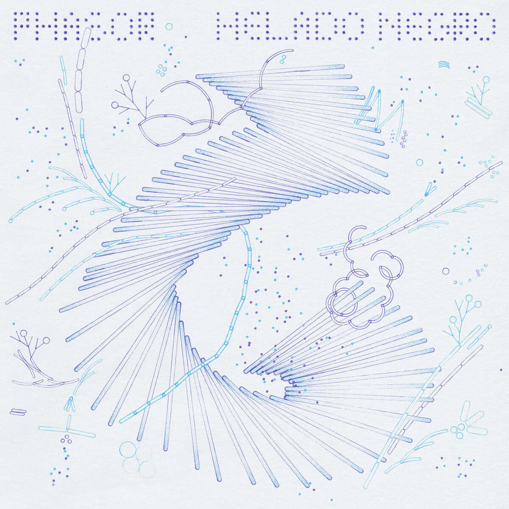 Helado Negro - Phasor - Flying Nun  | Vinyl | CD